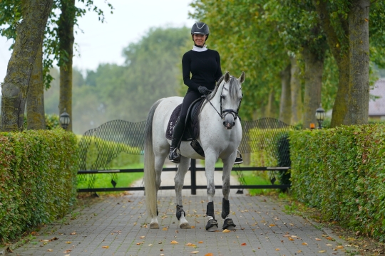 https://www.redwoodlodgearabians.com/core/image.php?src=app/media/uploads/website/30/photos/website_horses/2204/163220_DSC08535.JPG&width=540&height=360