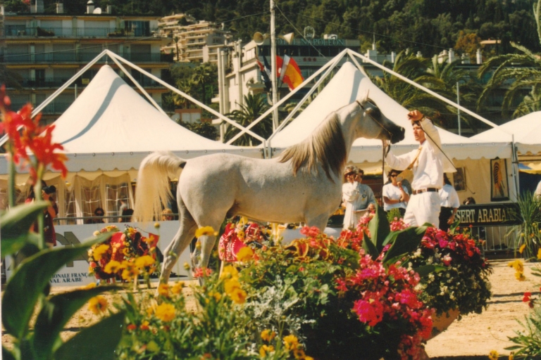 https://www.redwoodlodgearabians.com/core/image.php?src=app/media/uploads/website/30/photos/website_horses/2214/Abadan_menton.jpg&width=768&height=512