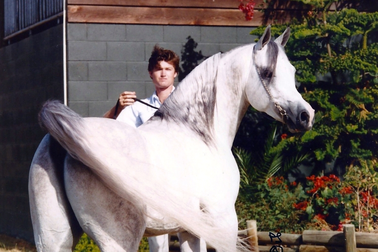 https://www.redwoodlodgearabians.com/core/image.php?src=app/media/uploads/website/30/photos/website_horses/2327/SterlingShaklanweb.jpg&width=768&height=512